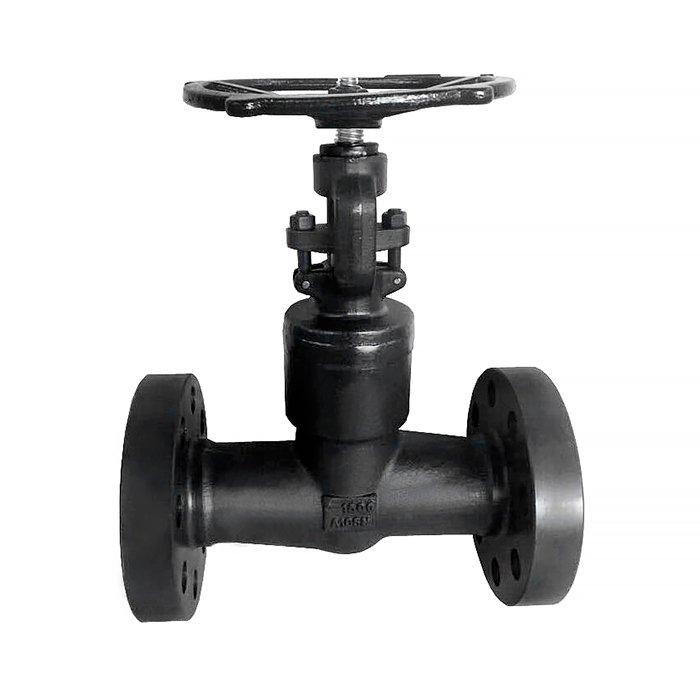 forged valve