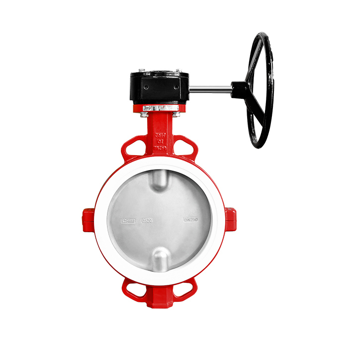 lined valve