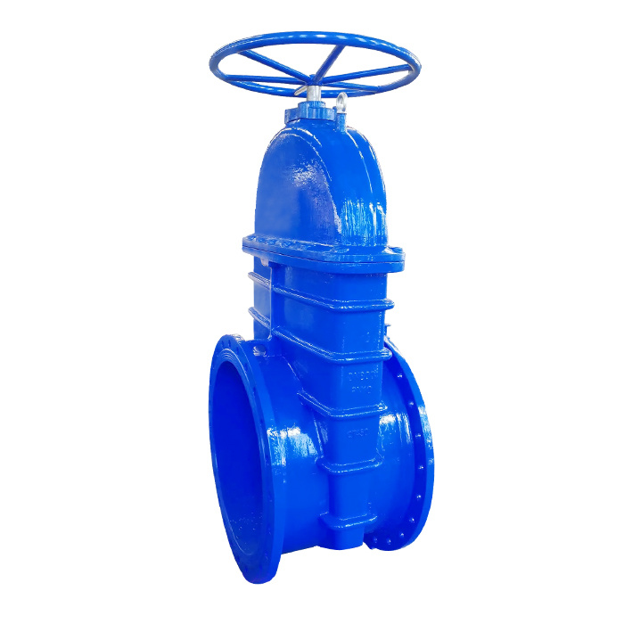 resilient seated gate valve