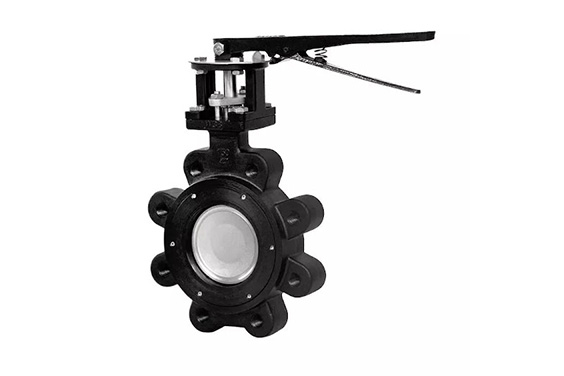 High performance butterfly valves are commonly employed in ships.