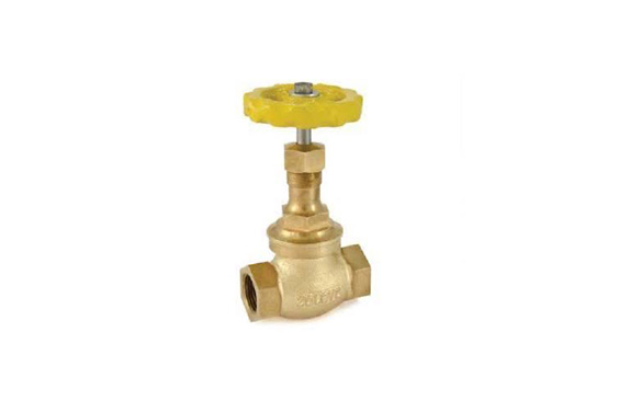 Union Ring Bonnet Globe Valve
