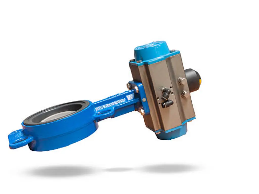 butterfly valve 1